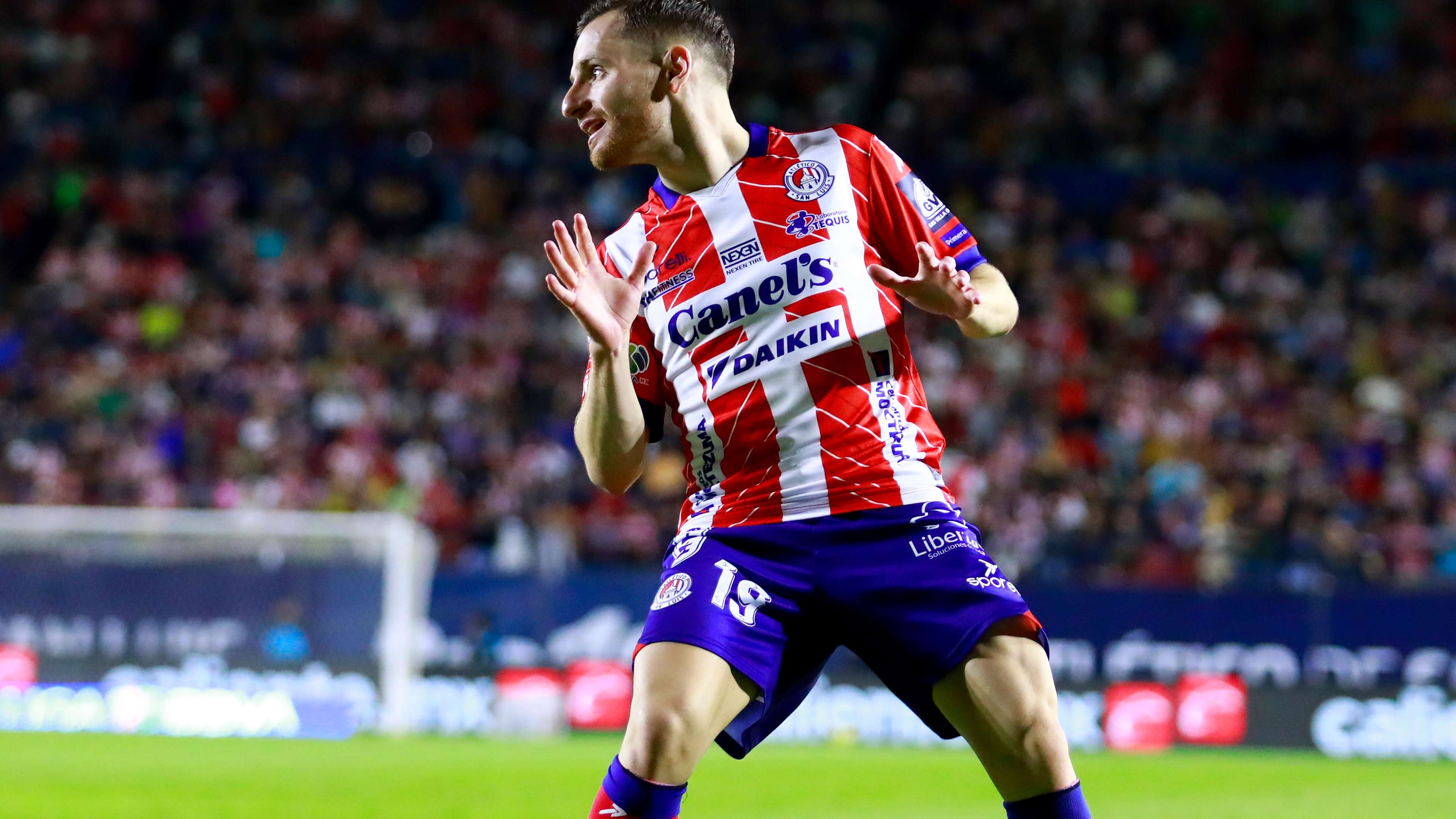 能为球队带 能为球队带